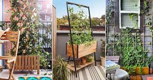 Diy Trellis Ideas For Balcony Gardens