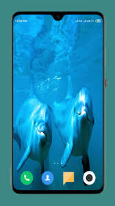 dolphin wallpaper hd apk for android