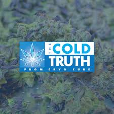 The Cold Truth: Dispelling Cannabis Myths with Cryo Cure