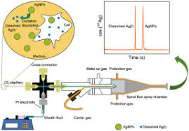 intracellular silver speciation by