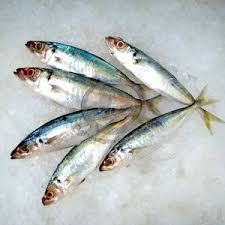 Ini adalah resep sarden sehat dan bisa dibuat sendiri dirumah dengan pilihan ikan sendiri yang cocok dengan selera andadan beberapa menu lauk dan cemilan. Jual Jual Ikan Sebelah Segar Per Kg Di Lapak Pelelangan Ikan Shop Bukalapak