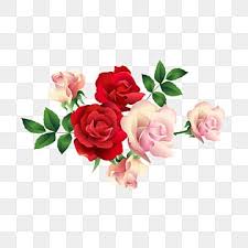 beautiful roses png transpa images