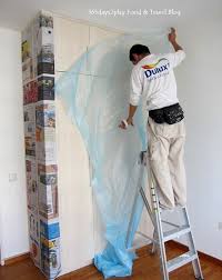 using dulux painting services