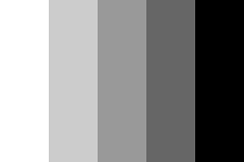 shades of grey and black color palette