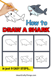 shark drawing how to draw a shark
