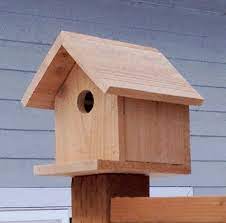 Bird House Plans Free Bird Houses Diy
