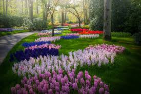 The Most Beautiful Flower Garden In The