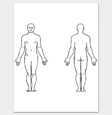 Blank human body template for medical infographic. Body Outline Front And Back 11 Printable Worksheet Drawing For Pdf Body Outline Outline Alphabet Symbols
