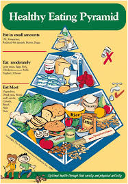 A Brief History Of The Pyramid Nutrition Australia