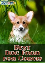 Keep your dog healthy with real ingredients for every life stage and breed. Best Dog Food For Corgis Top Puppy Adult Recommendations For 2021