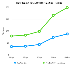 video frame rate affects file size