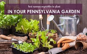 Plant In Your Pennsylvania Garden