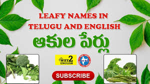 leafy vegetables in telugu
