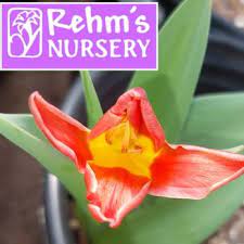 Rehm S Nursery And Garden Center Near