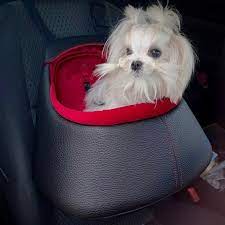 Buy Dog Car Seat Dog Car Seat Booster