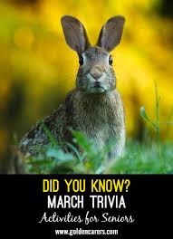 How much do you know about march? March Trivia