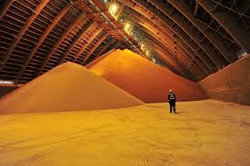 nutrien to hike potash output 40 in