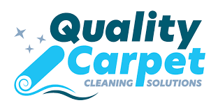 carpet cleaning company in dublin ohio