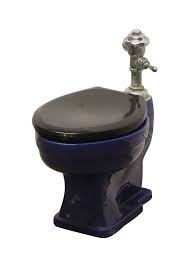 Reclaimed Commercial Navy Blue Toilet