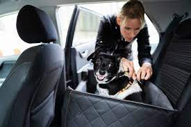 8 Best Dog Car Seat Beds For A