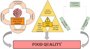 food quality and safety management