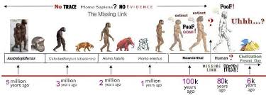 Time Line Of The Evolution Of Man Human Evolution