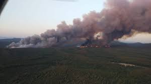 Marmaris'te orman yangını başladı - Son Dakika Haberleri