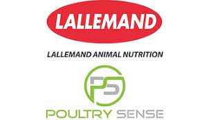 lallemand and poultry sense join forces