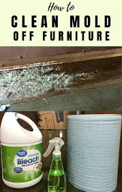 prevent mold growth on wood furniture