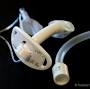 shiley 6 cuffless "non" fenestrated tracheostomy tube from googleweblight.com