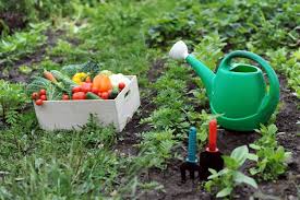 6 Ways To Make Your Gardening Business