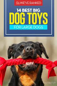 14 best big dog toys for large dogs