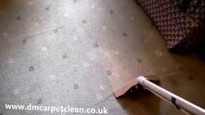 dmcarpet clean performing great job in