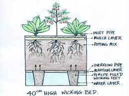 Optimal Height Of A Wicking Bed Depends