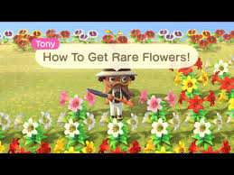 how to get rare flowers in