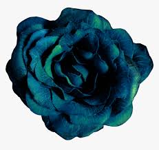 Pursue the best match dark teal. Hand Painted Noble Dark Blue Flowers Png Transparent Garden Roses Png Download Kindpng