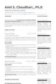 Cover Letter Postdoc Cv Template For Postdoc Application Chemistry