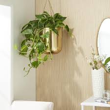 Outdoor Hanging Dome Wall Planter