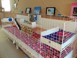 construire une cavy cage le cochon d inde