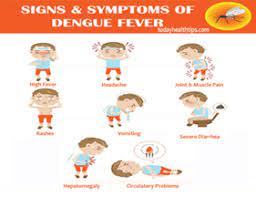 Have quick look at the signs and symptoms of dengue in children. Dengue Symptoms In Children Causes Diagnosis Prevention