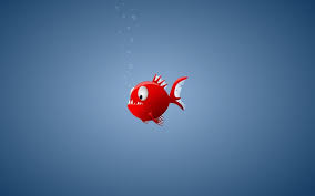red fish wallpaper 64 images