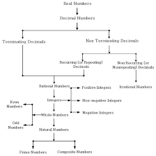 Jmathslearning Various Type Of Numbers Chart Numbers