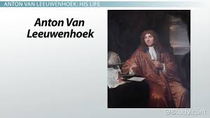 Anton normal source of the black smoke with msluna jungjam scarlatti and whalewatcher. Anton Van Leeuwenhoek Biography Cell Theory Discoveries Video Lesson Transcript Study Com