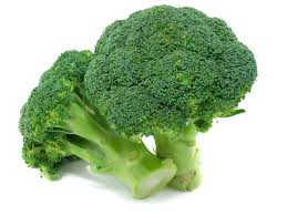 Budidaya Tanaman Brokoli