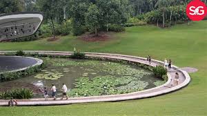 singapore botanic gardens 2022 swan