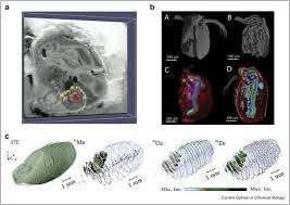 molecular imaging technologies