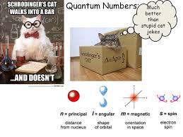 Or put them in a time catsle! Quantum Numbers Much Better Than Stupid Cat Jokes Ppt Download