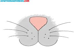 how to draw a cat nose and whiskers