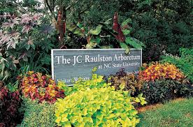 jc raulston arboretum planting for a