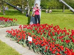 Sangerhauser weg 1 12349 berlin. Tulipan Im Britzer Garten Spater Wintereinbruch Hat Zu Ausfallen Gefuhrt Britz
